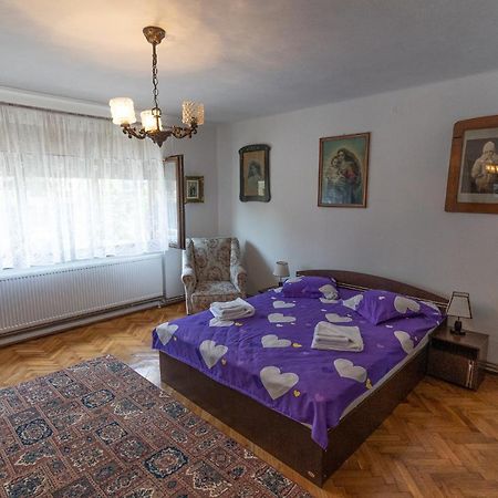 Apartamento Doi Bujori Alba Iulia Exterior foto