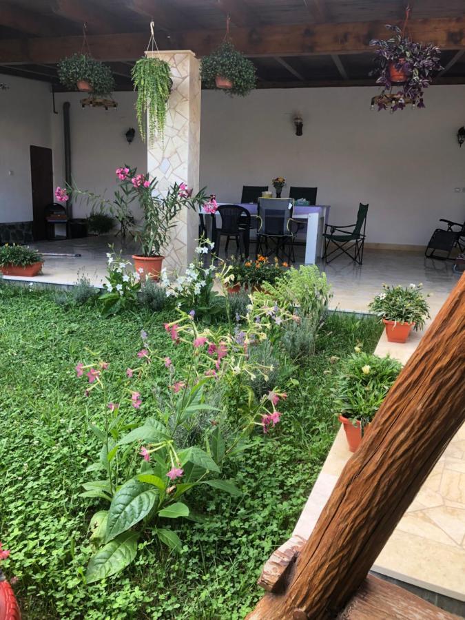 Apartamento Doi Bujori Alba Iulia Exterior foto