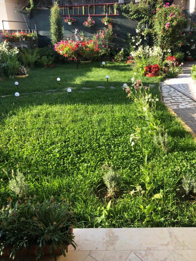 Apartamento Doi Bujori Alba Iulia Exterior foto